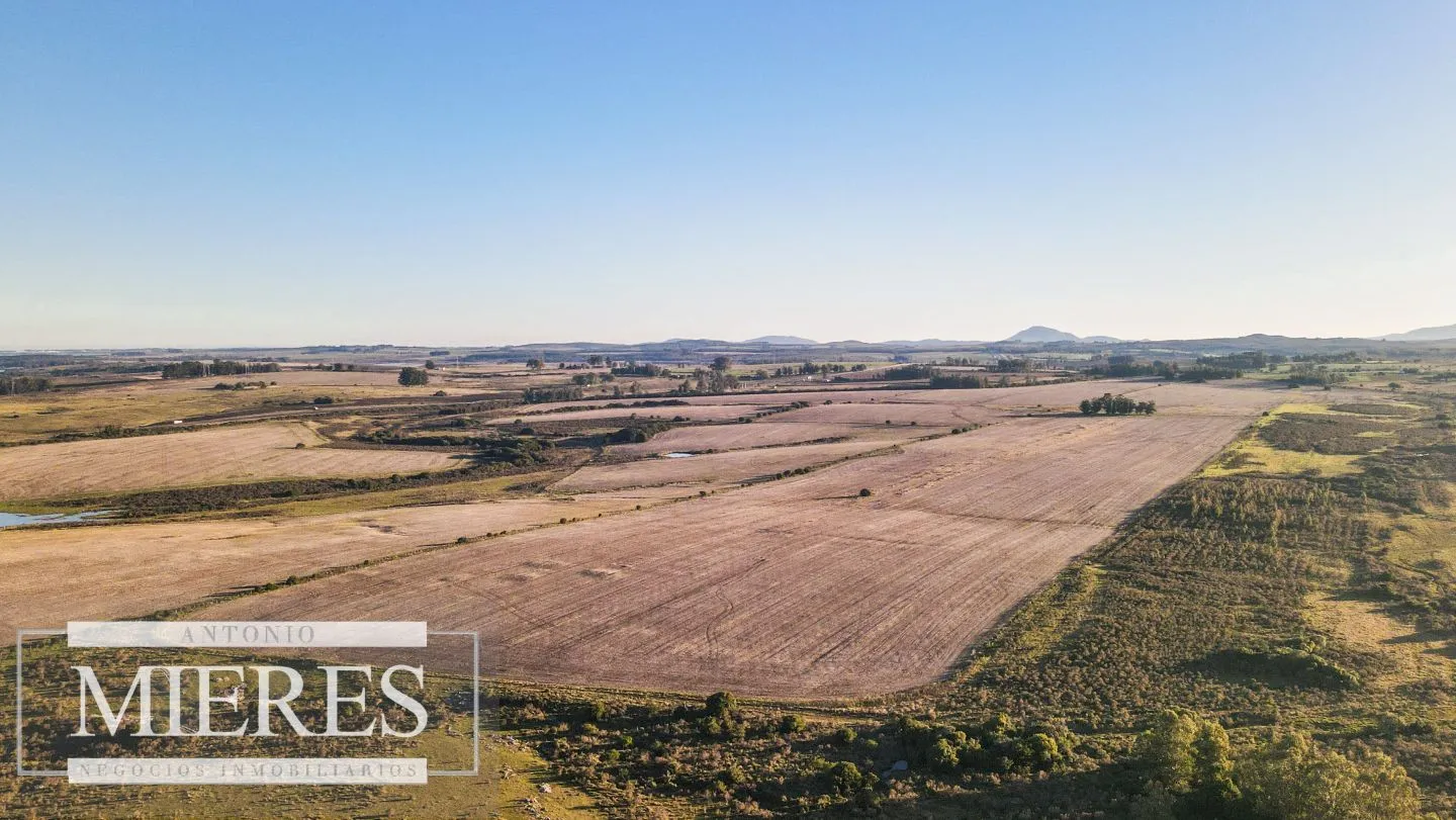 Campo en venta de 33 ha Próximo a laguna del Sauce — foto 1