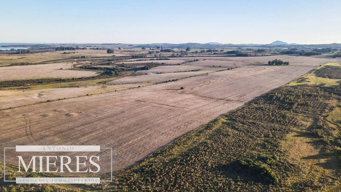 Campo en venta de 33 ha Próximo a laguna del Sauce — foto 2