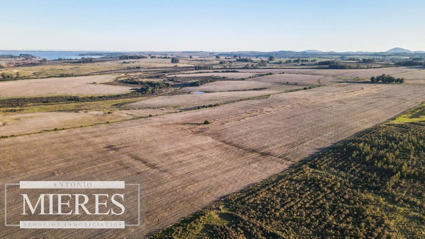 Campo en venta de 33 ha Próximo a laguna del Sauce — foto 3