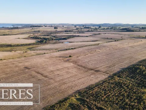 Campo en venta de 33 ha Próximo a laguna del Sauce — foto 3