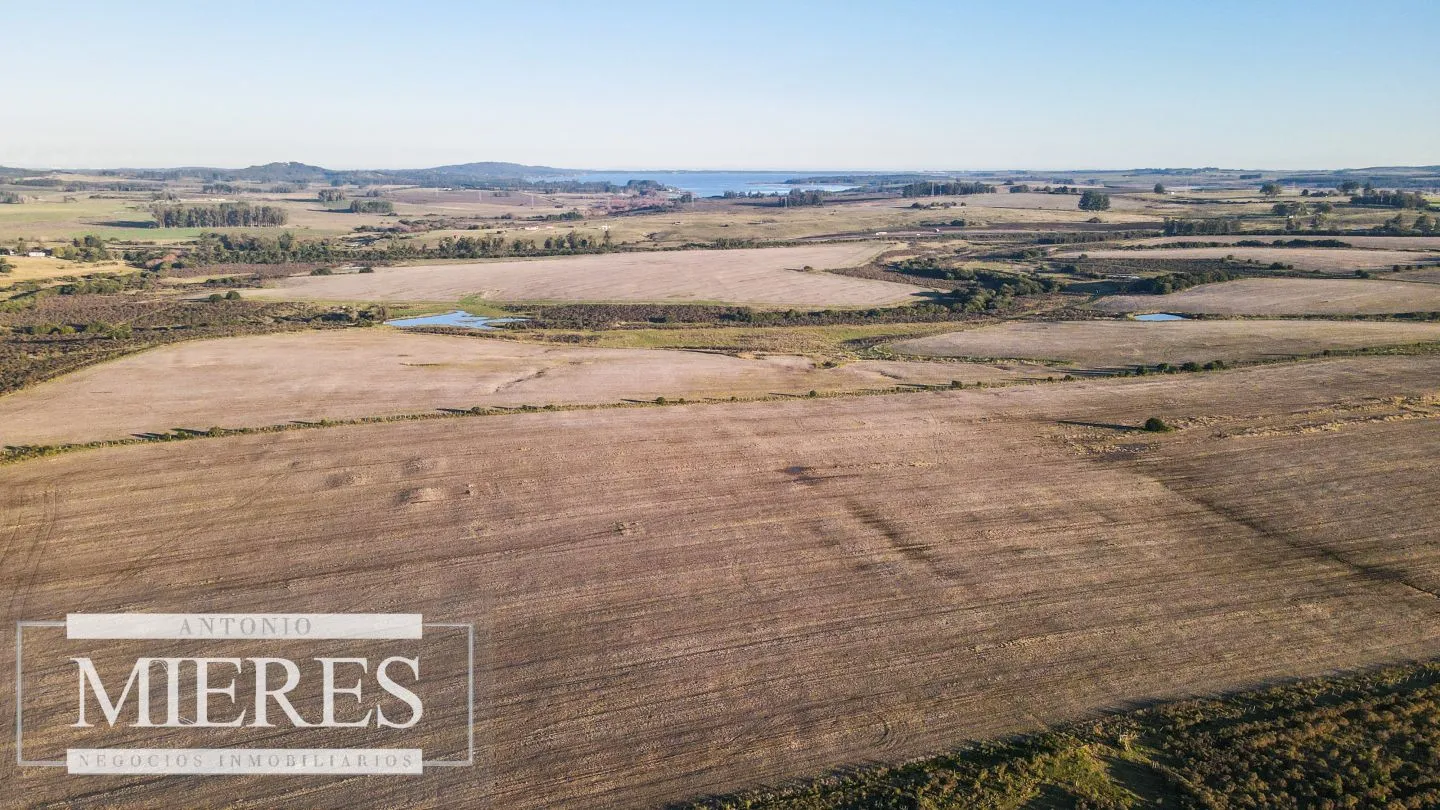 Campo en venta de 33 ha Próximo a laguna del Sauce — foto 4