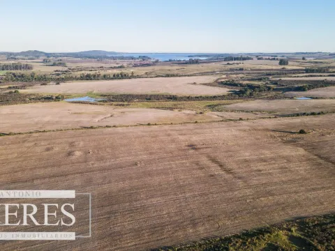 Campo en venta de 33 ha Próximo a laguna del Sauce — foto 4