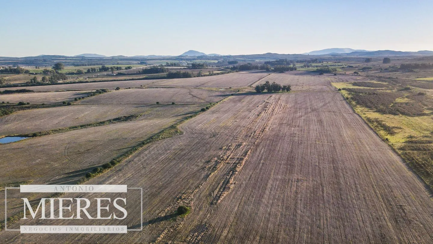Campo en venta de 33 ha Próximo a laguna del Sauce — foto 5