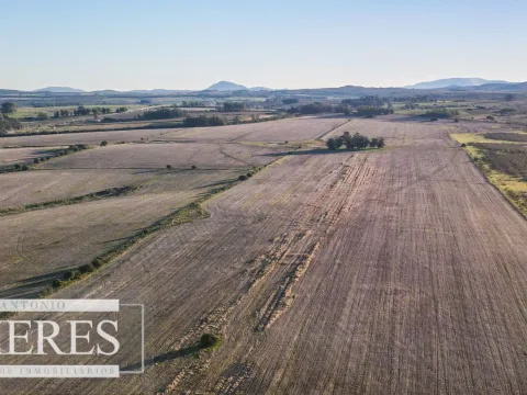 Campo en venta de 33 ha Próximo a laguna del Sauce — foto 5