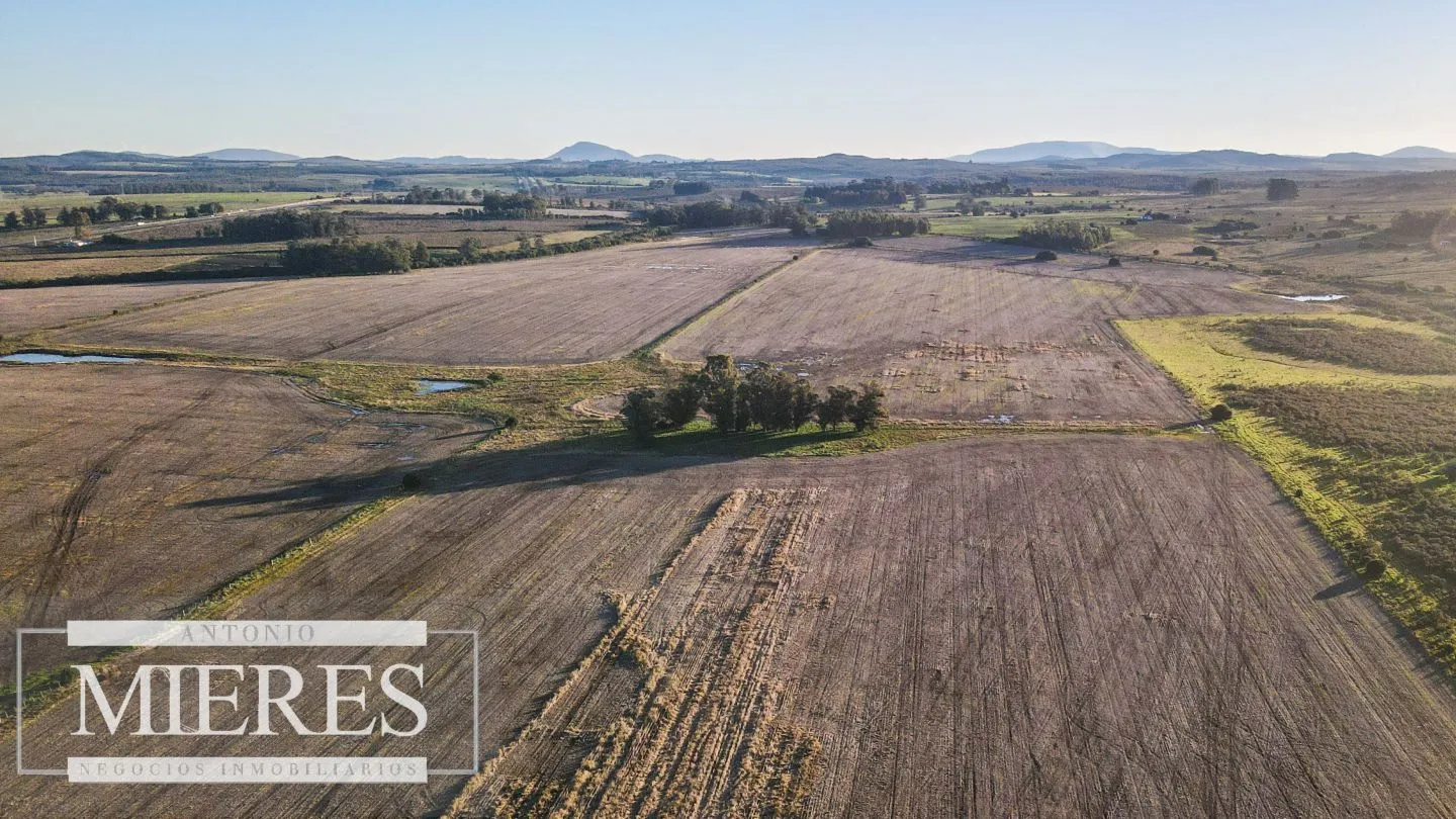 Campo en venta de 33 ha Próximo a laguna del Sauce — foto 6