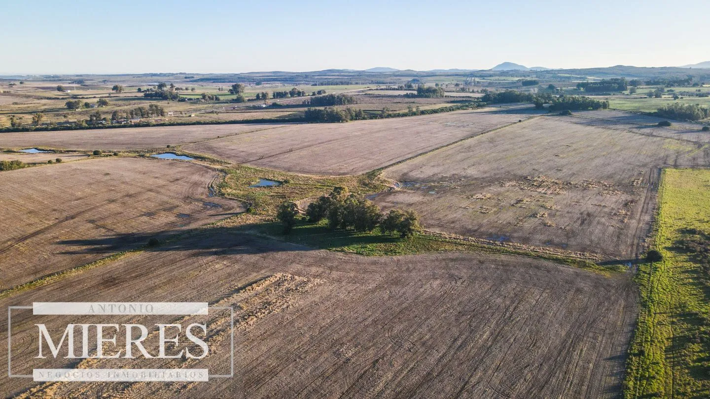Campo en venta de 33 ha Próximo a laguna del Sauce — foto 7