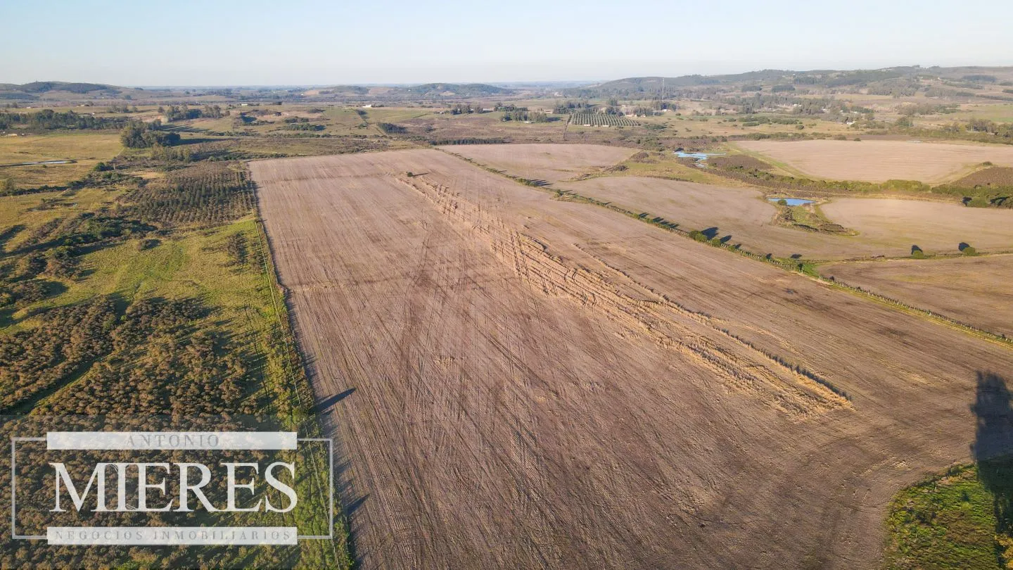 Campo en venta de 33 ha Próximo a laguna del Sauce — foto 8