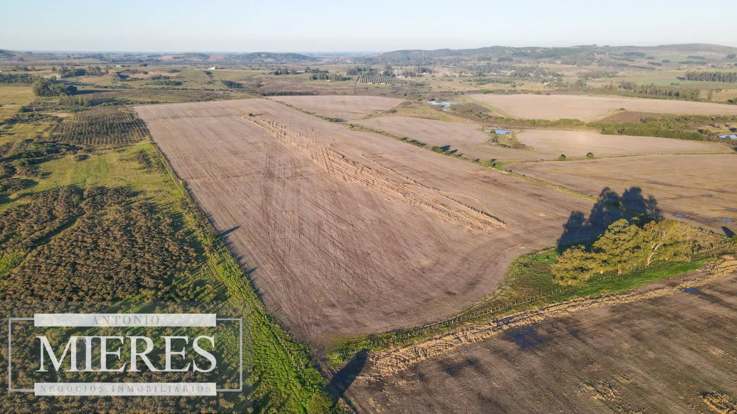 Campo en venta de 33 ha Próximo a laguna del Sauce — foto 9
