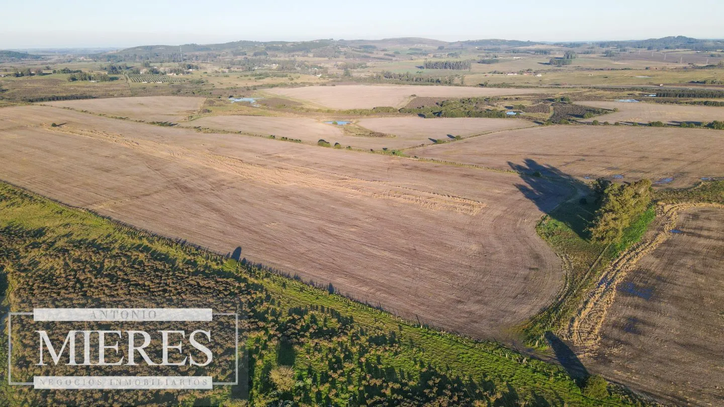 Campo en venta de 33 ha Próximo a laguna del Sauce — foto 10