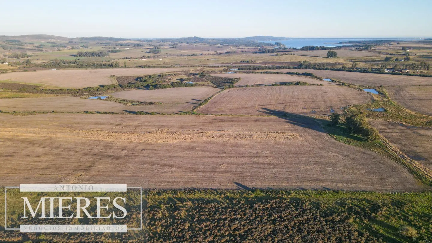 Campo en venta de 33 ha Próximo a laguna del Sauce — foto 11