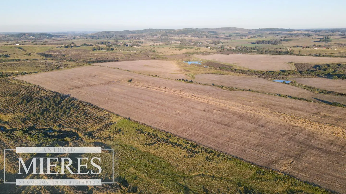 Campo en venta de 33 ha Próximo a laguna del Sauce — foto 12