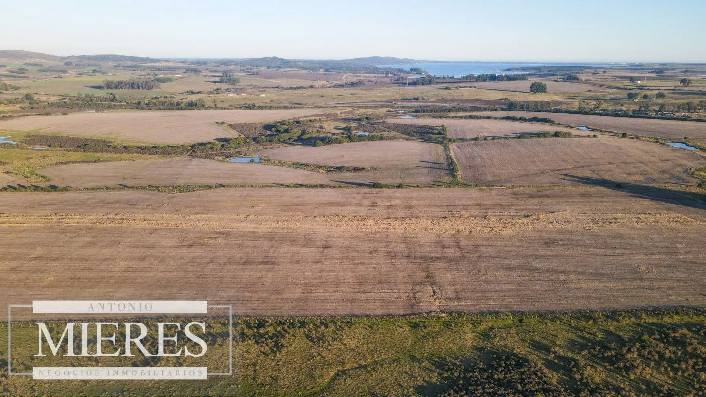 Campo en venta de 33 ha Próximo a laguna del Sauce — foto 13