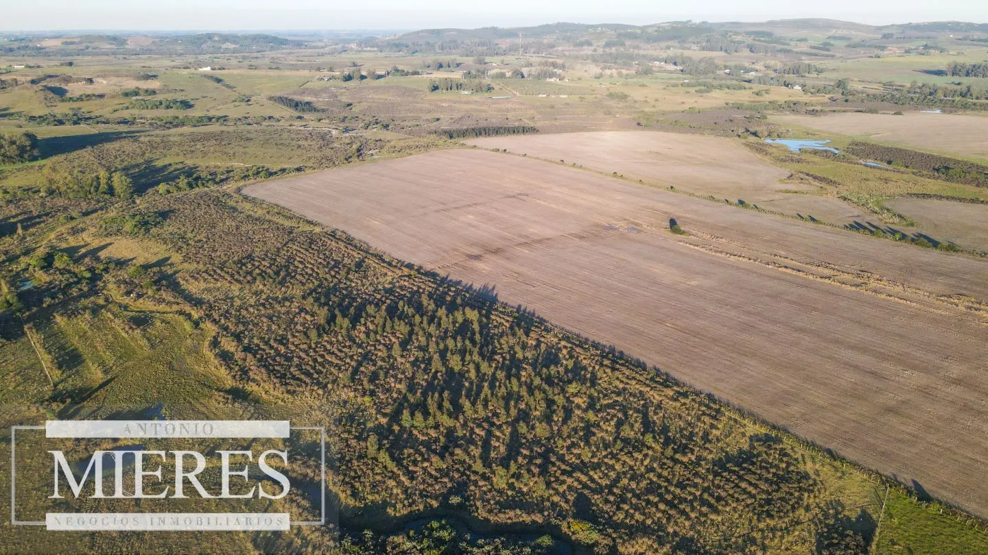 Campo en venta de 33 ha Próximo a laguna del Sauce — foto 14