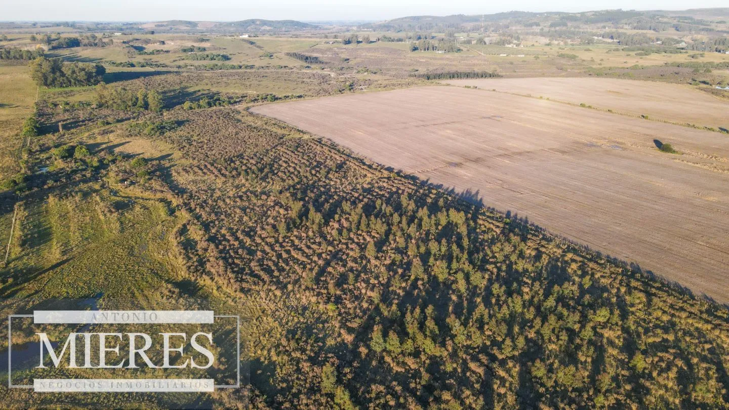 Campo en venta de 33 ha Próximo a laguna del Sauce — foto 15