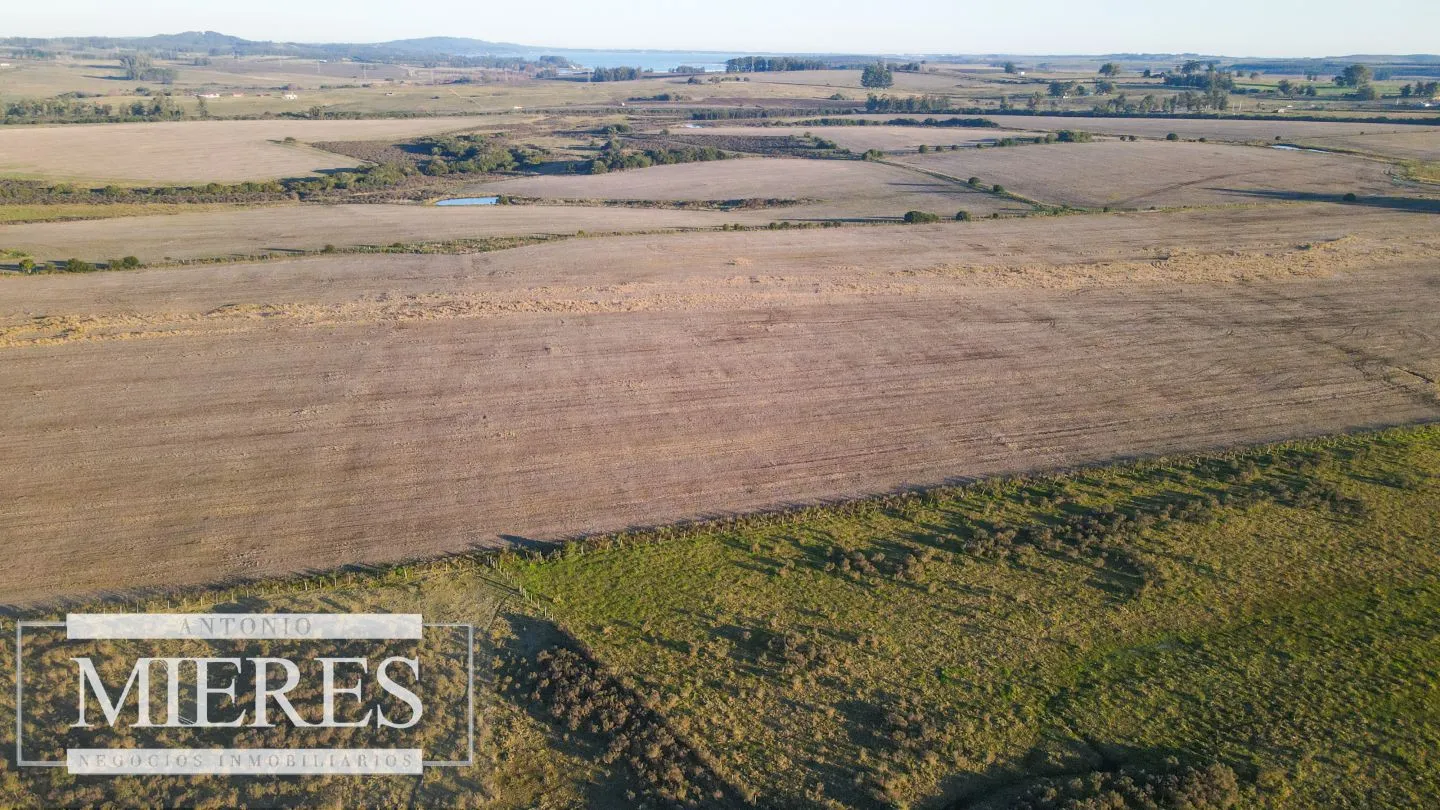 Campo en venta de 33 ha Próximo a laguna del Sauce — foto 16