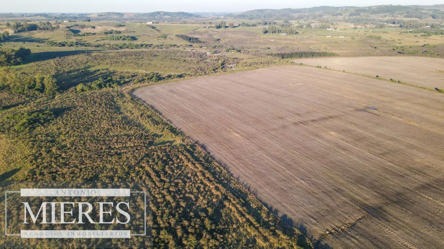 Campo en venta de 33 ha Próximo a laguna del Sauce — foto 17