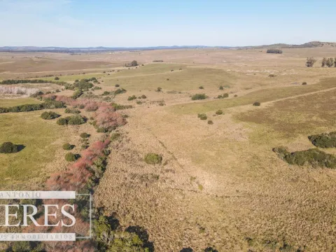 Campo en venta de 164 ha Maldonado, Uruguay