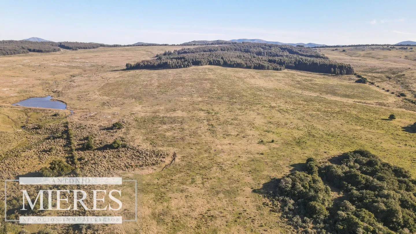 Campo en venta de 164 ha Maldonado, Uruguay — foto 2