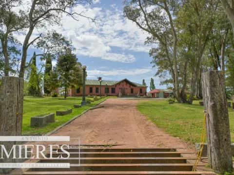 Chacra de 100ha con  importante casa en Maldonado