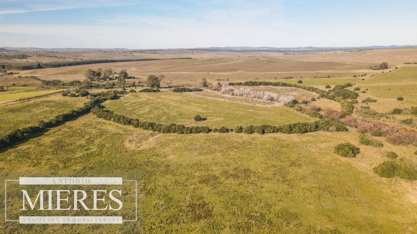 Campo en venta de 164 ha Maldonado, Uruguay — foto 3