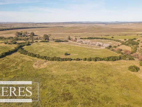 Campo en venta de 164 ha Maldonado, Uruguay — foto 3