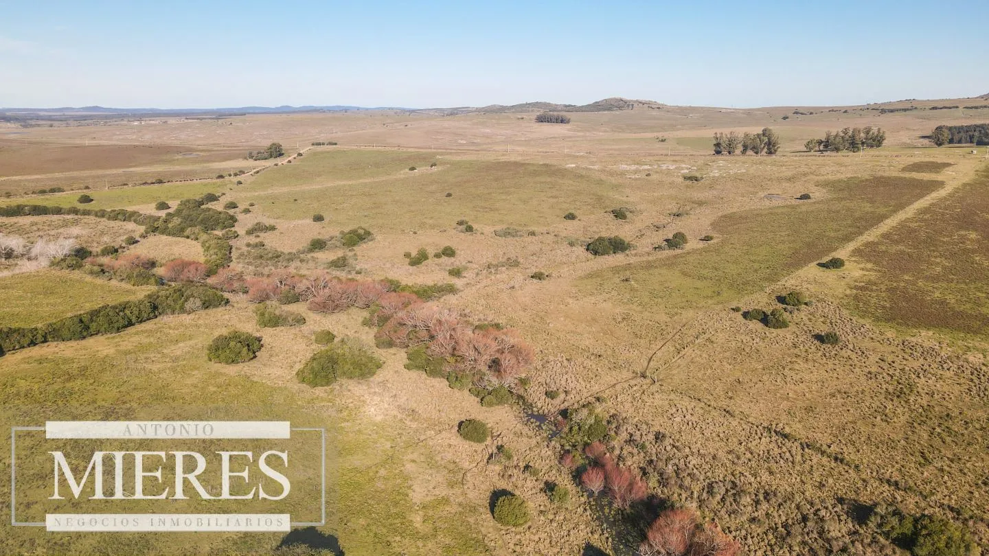 Campo en venta de 164 ha Maldonado, Uruguay — foto 4