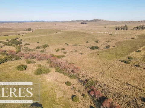 Campo en venta de 164 ha Maldonado, Uruguay — foto 4