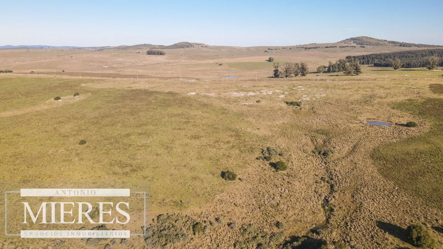 Campo en venta de 164 ha Maldonado, Uruguay — foto 5