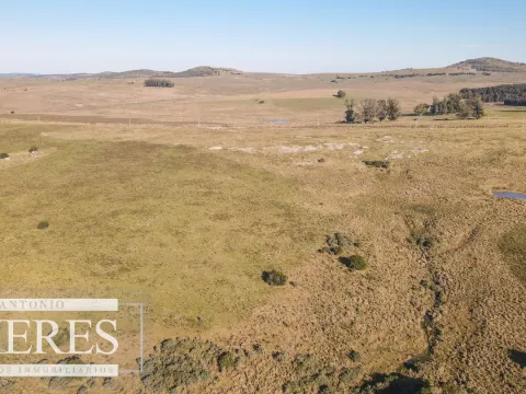 Campo en venta de 164 ha Maldonado, Uruguay — foto 5