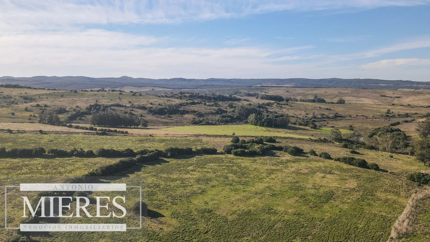 Campo en venta de 164 ha Maldonado, Uruguay — foto 6