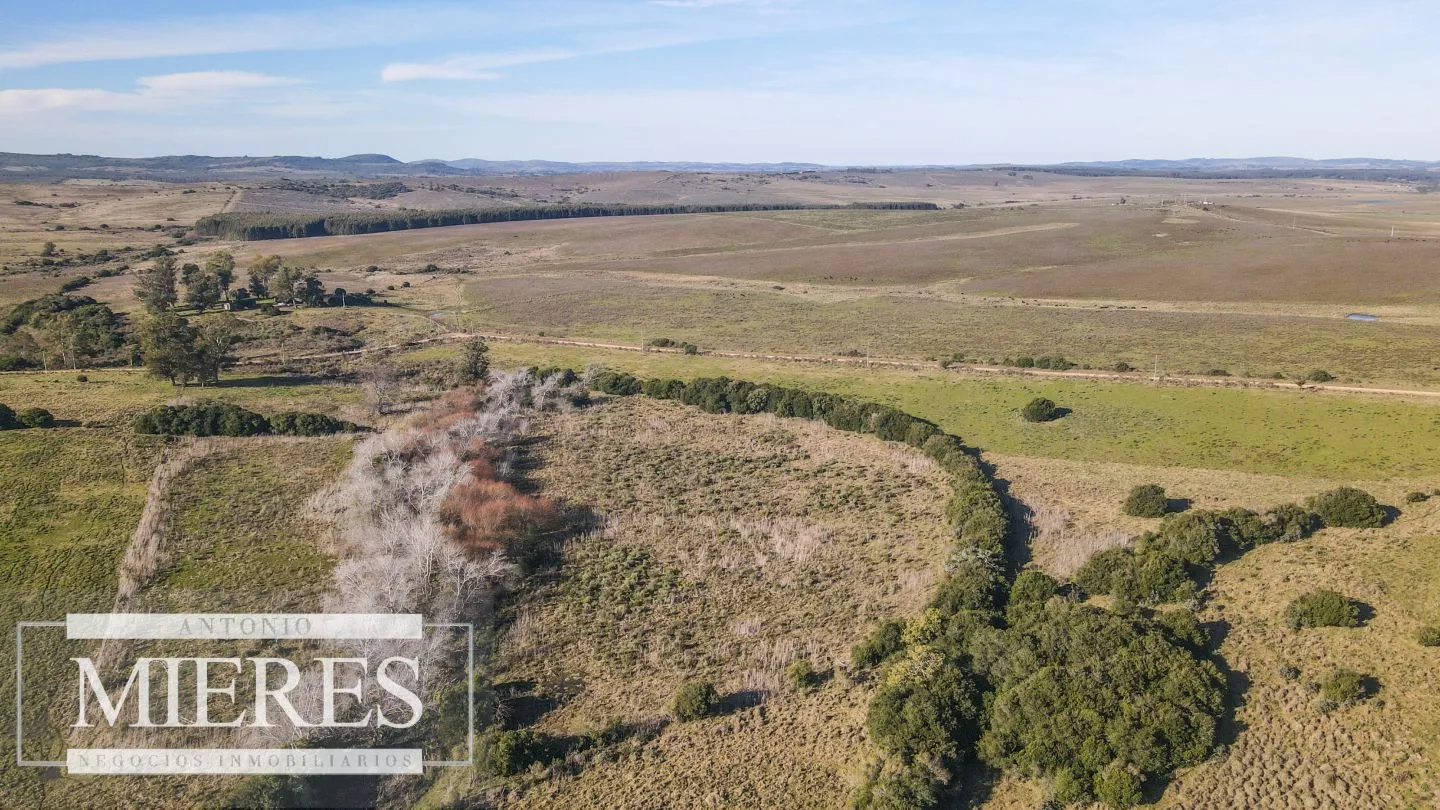 Campo en venta de 164 ha Maldonado, Uruguay — foto 7