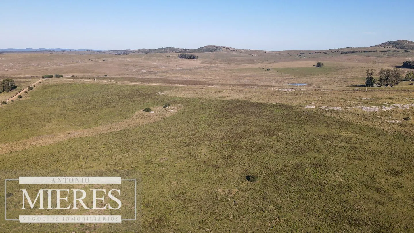 Campo en venta de 164 ha Maldonado, Uruguay — foto 8