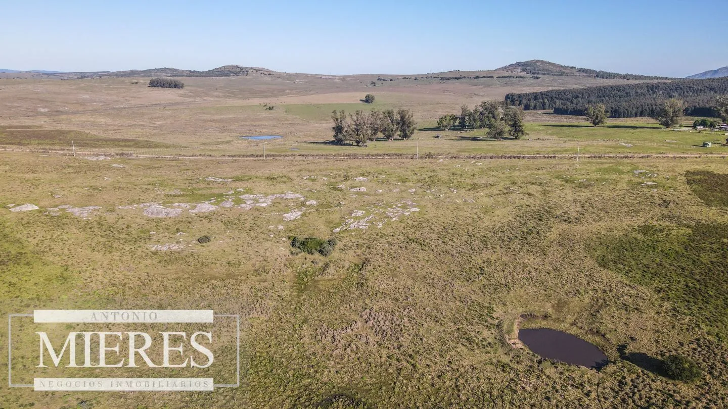 Campo en venta de 164 ha Maldonado, Uruguay — foto 9