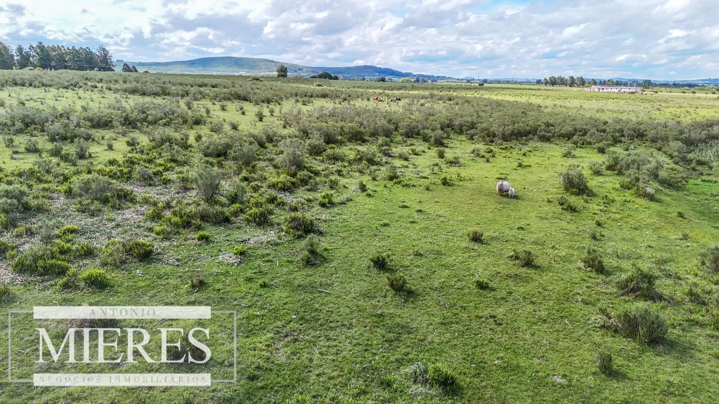 Chacra de 5 ha en Pueblo Edén, ruta 12 Maldonado Uruguay. — foto 6