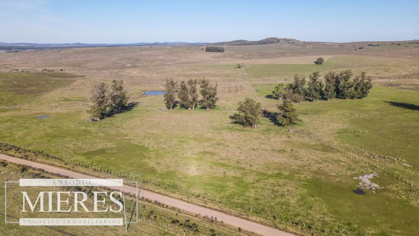 Campo en venta de 164 ha Maldonado, Uruguay — foto 10