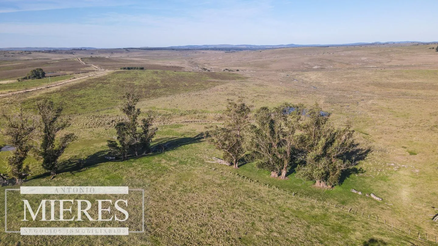Campo en venta de 164 ha Maldonado, Uruguay — foto 11
