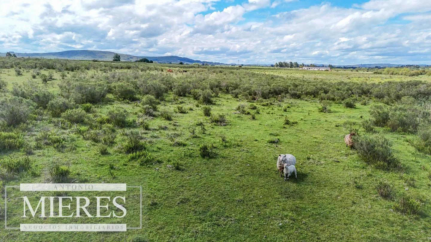 Chacra de 5 ha en Pueblo Edén, ruta 12 Maldonado Uruguay. — foto 7