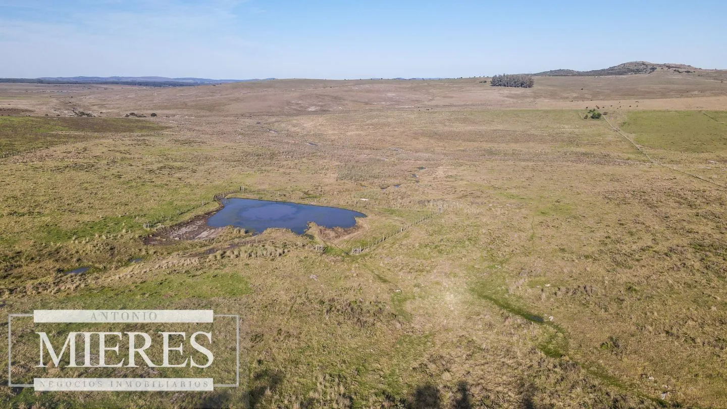 Campo en venta de 164 ha Maldonado, Uruguay — foto 12