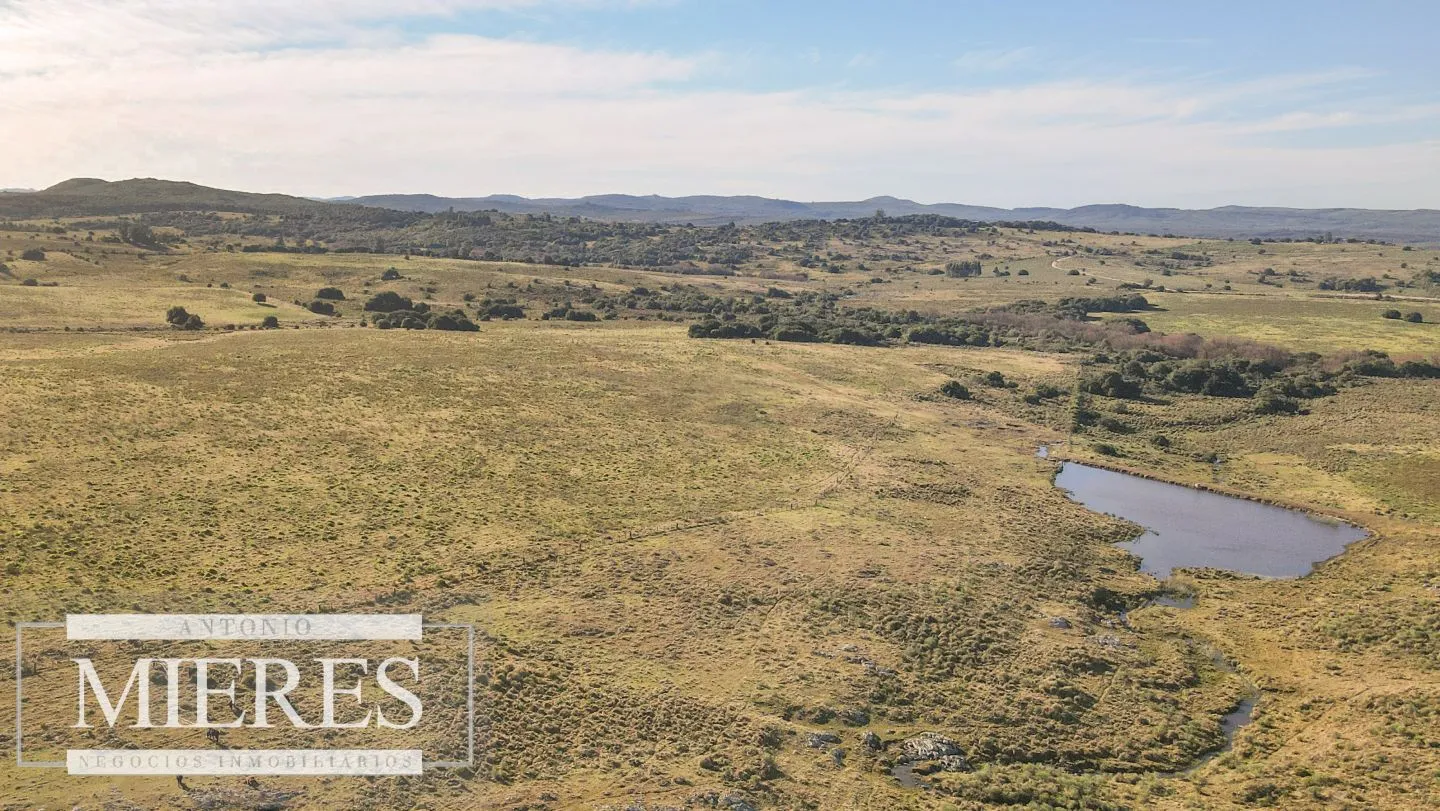 Campo en venta de 164 ha Maldonado, Uruguay — foto 13