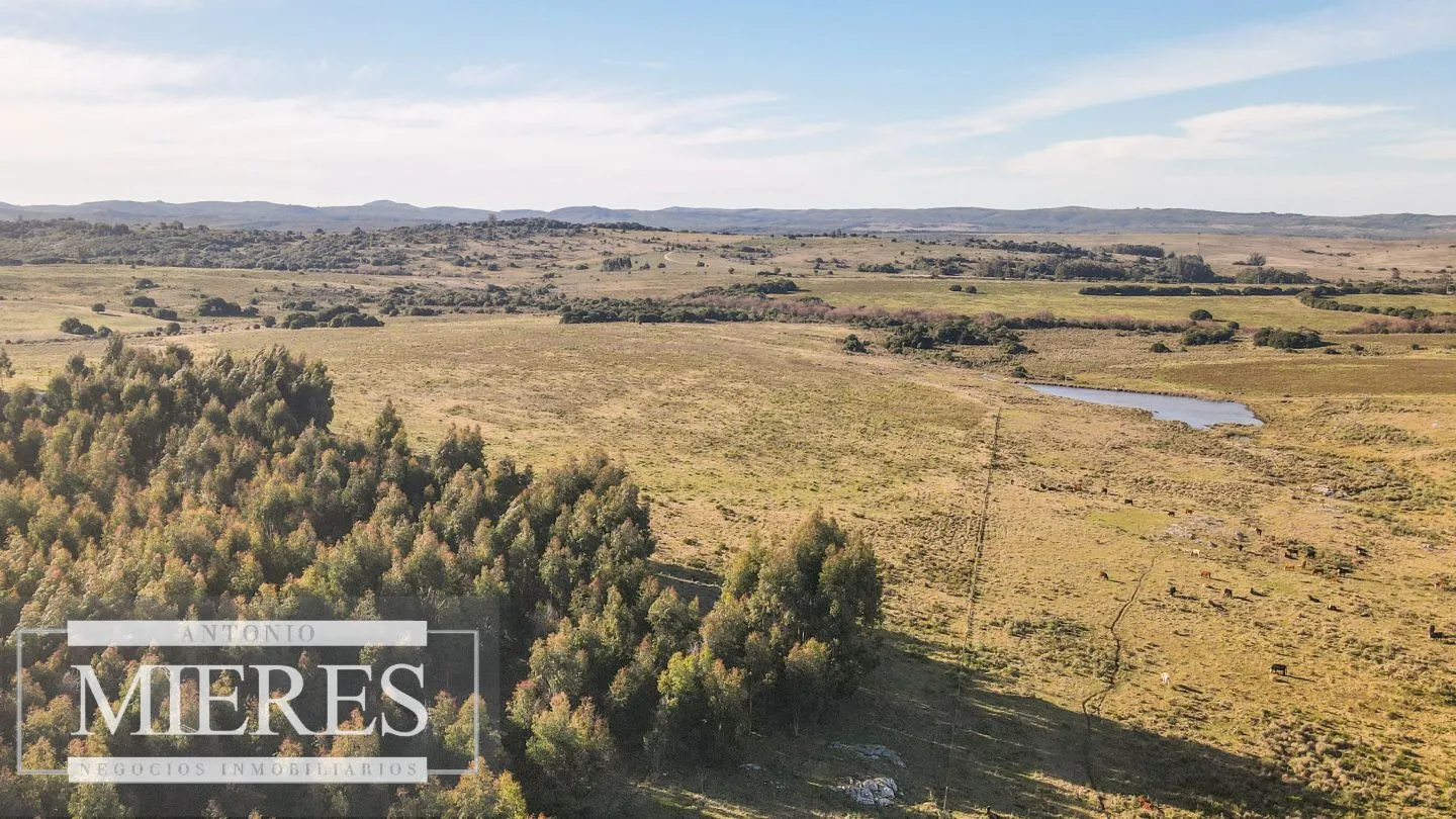 Campo en venta de 164 ha Maldonado, Uruguay — foto 14
