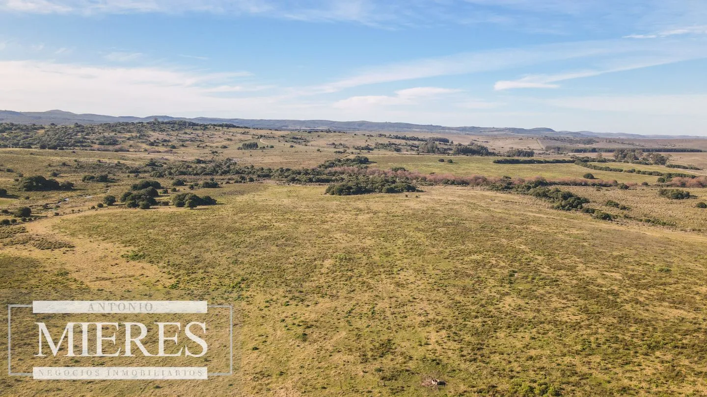 Campo en venta de 164 ha Maldonado, Uruguay — foto 15
