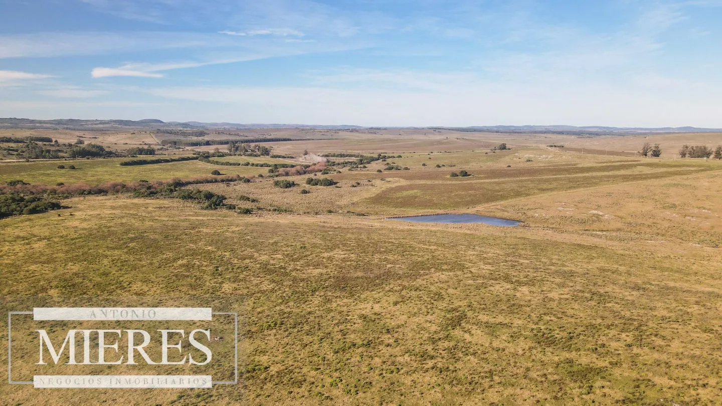 Campo en venta de 164 ha Maldonado, Uruguay — foto 16
