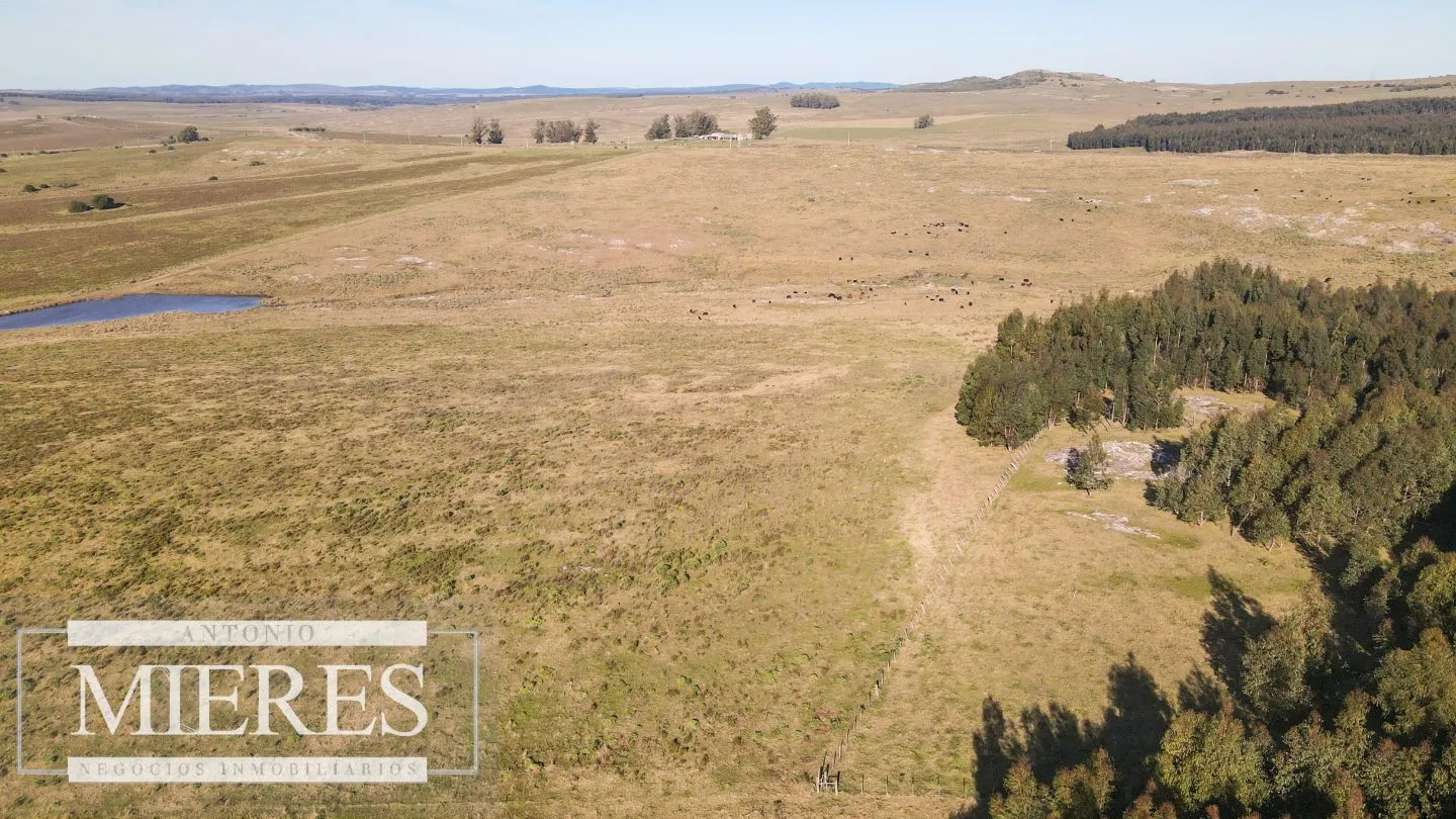 Campo en venta de 164 ha Maldonado, Uruguay — foto 17