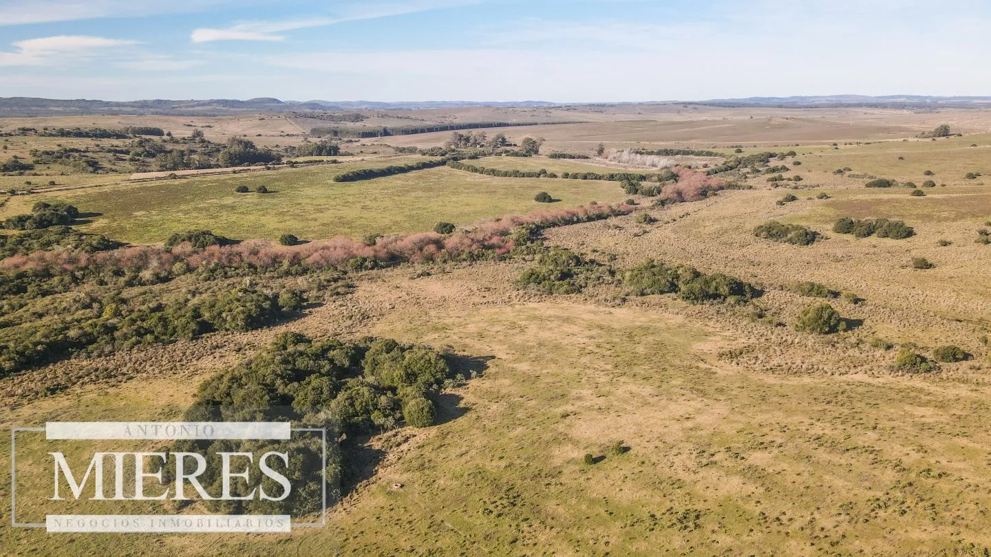 Campo en venta de 164 ha Maldonado, Uruguay — foto 18