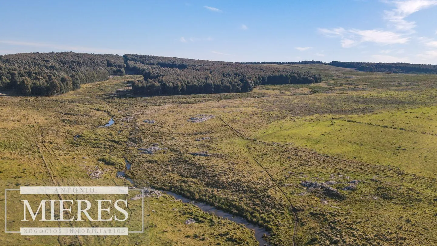 Campo en venta de 164 ha Maldonado, Uruguay — foto 19