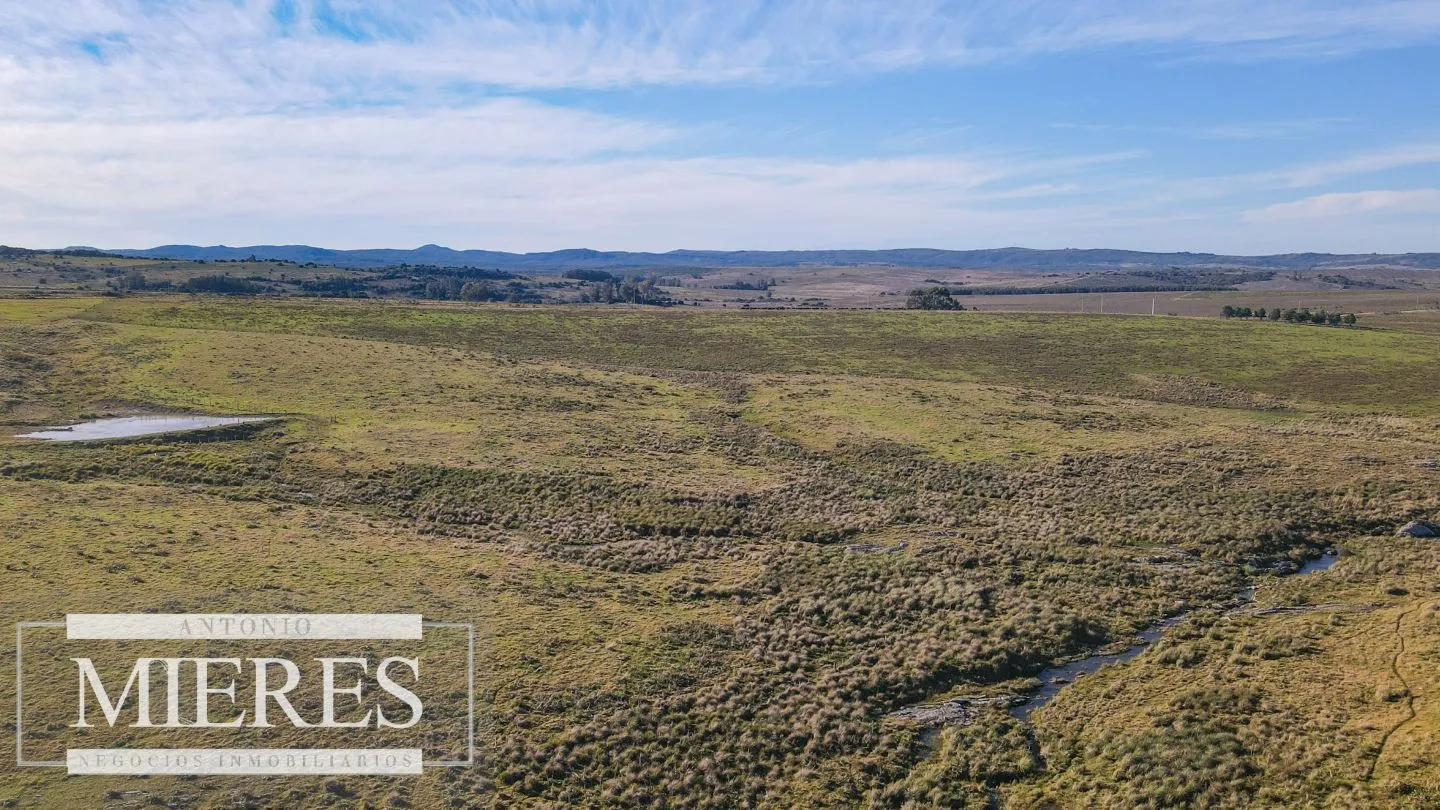 Campo en venta de 164 ha Maldonado, Uruguay — foto 20