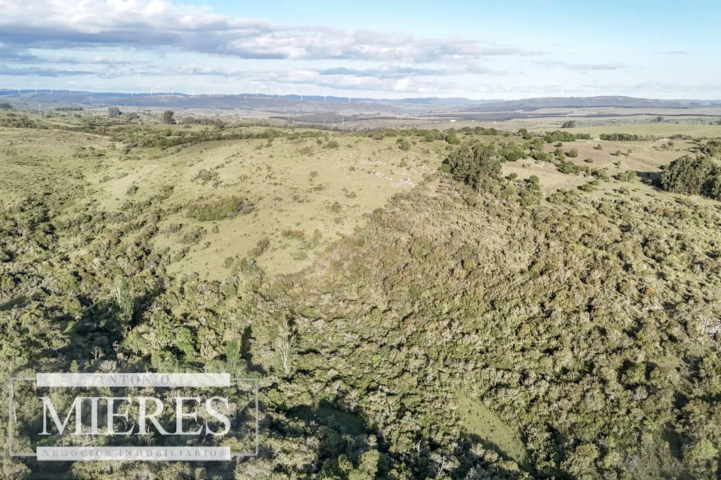 Chacra de 3 ha en Pueblo Edén Maldonado, Uruguay. — foto 6