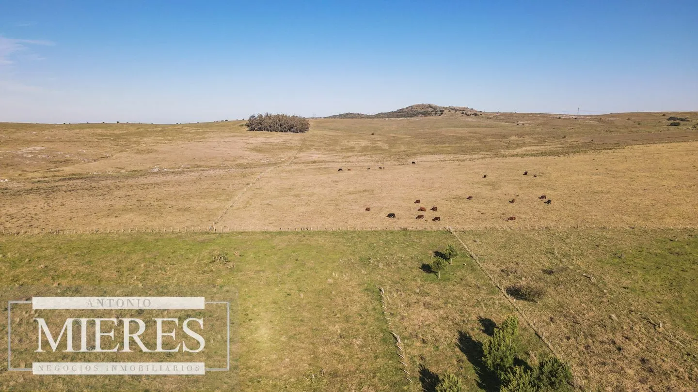 Campo en venta de 164 ha Maldonado, Uruguay — foto 21