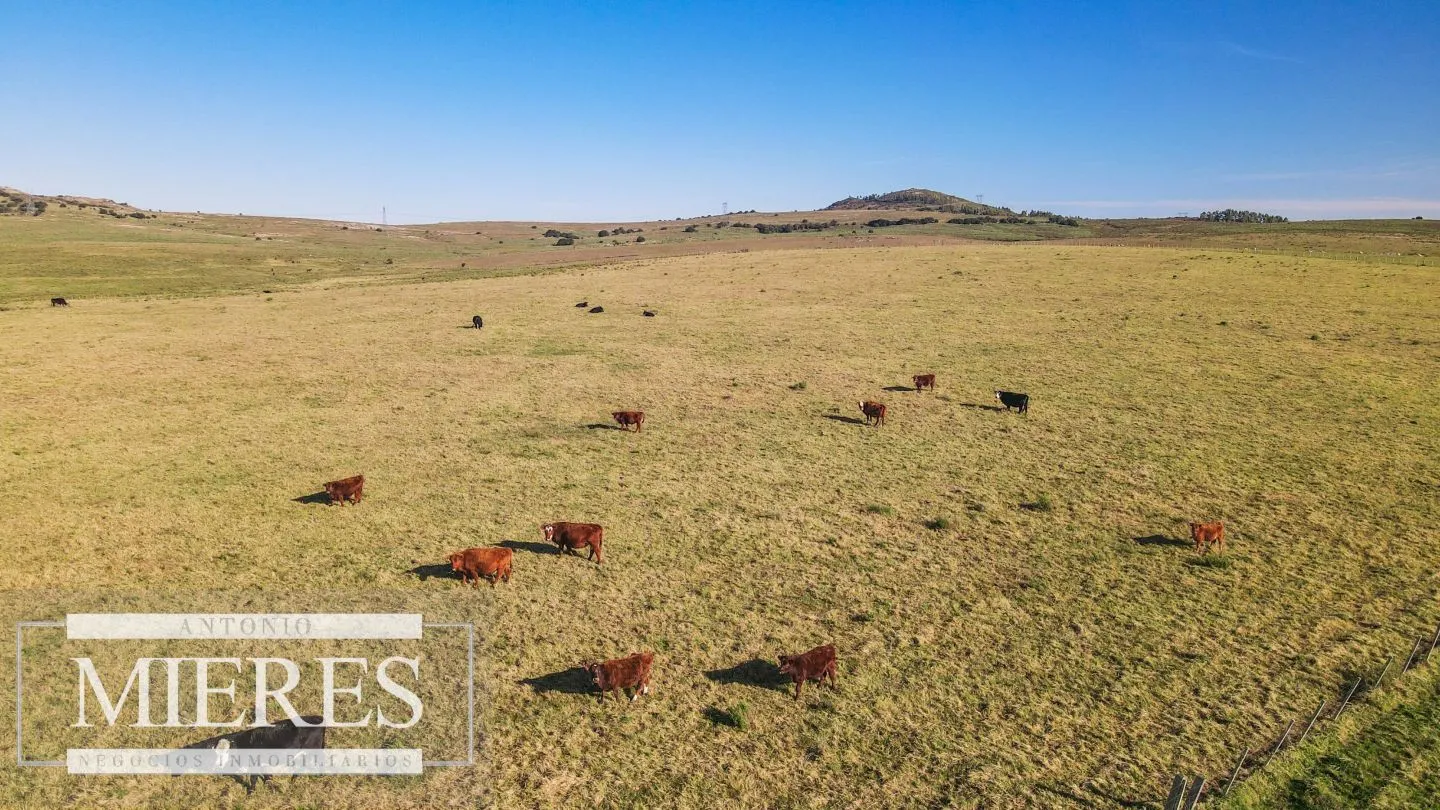 Campo en venta de 164 ha Maldonado, Uruguay — foto 22