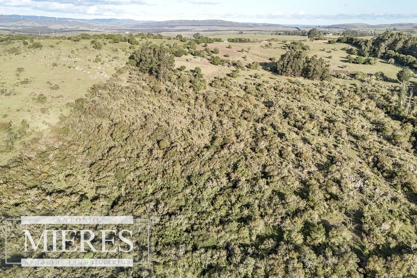 Chacra de 3 ha en Pueblo Edén Maldonado, Uruguay. — foto 8